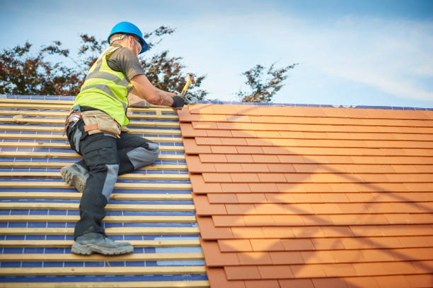 Best Roof Insulation Installation  in Eldersburg, MD